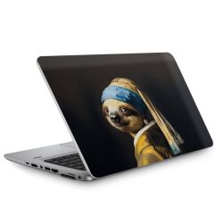 Foils for Laptops matt