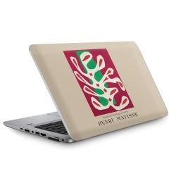 Foils for Laptops matt