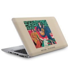 Foils for Laptops matt