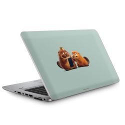 Foils for Laptops matt