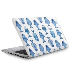 Foils for Laptops matt