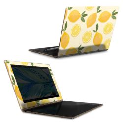 Foils for Laptops matt