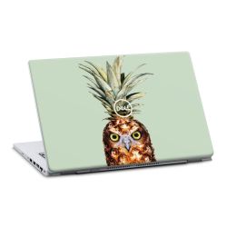 Pineapple Owl
