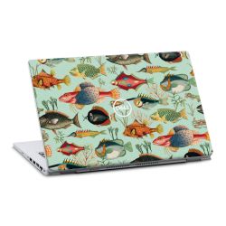 Foils for Laptops matt