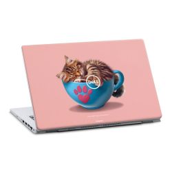 Foils for Laptops matt