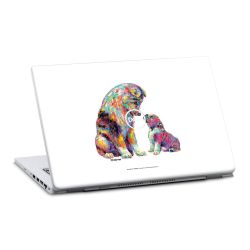 Foils for Laptops matt