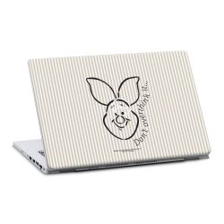 Foils for Laptops matt