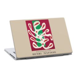 Foils for Laptops matt