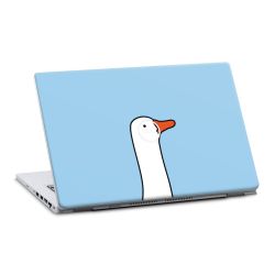 Foils for Laptops matt