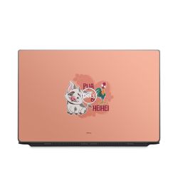 Foils for Laptops matt