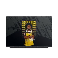 Foils for Laptops matt