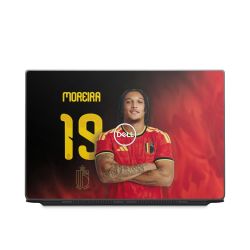 Foils for Laptops matt