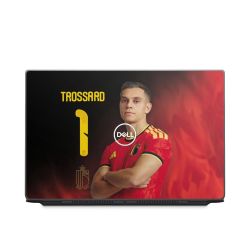 Foils for Laptops matt