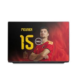 Foils for Laptops matt