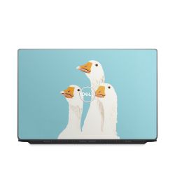 Foils for Laptops matt