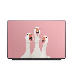 Foils for Laptops matt