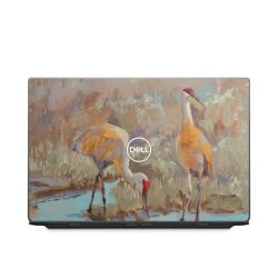 Foils for Laptops matt