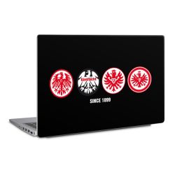 Folien für Laptops matt