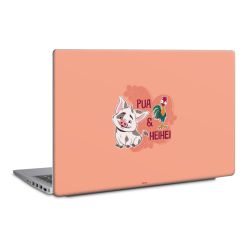 Foils for Laptops matt