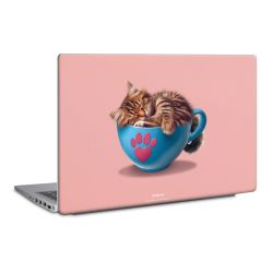 Foils for Laptops matt