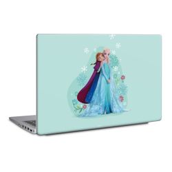 Foils for Laptops matt