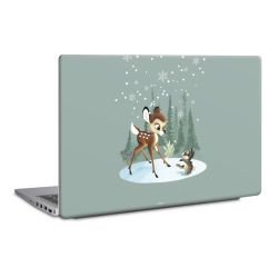 Foils for Laptops matt