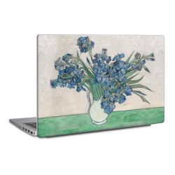 Foils for Laptops matt