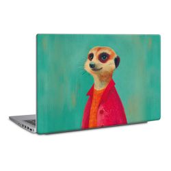 Foils for Laptops matt