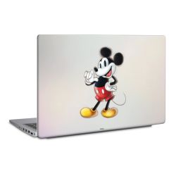 Foils for Laptops matt