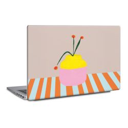 Foils for Laptops matt