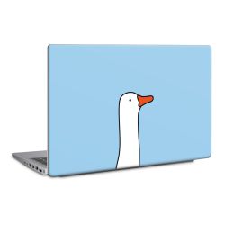 Foils for Laptops matt