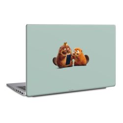 Foils for Laptops matt