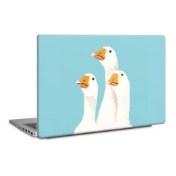 Foils for Laptops matt