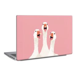 Foils for Laptops matt