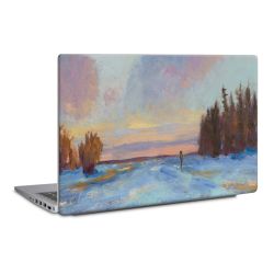 Foils for Laptops matt