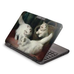 Foils for Laptops matt