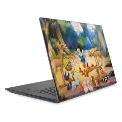 Foils for Laptops matt