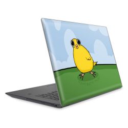 Folien für Laptops matt