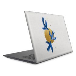 Foils for Laptops matt