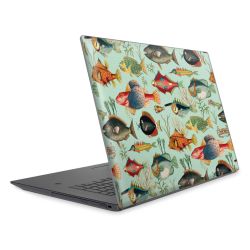 Foils for Laptops matt