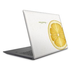 Foils for Laptops matt