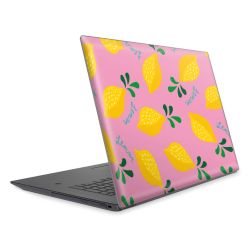 Foils for Laptops matt