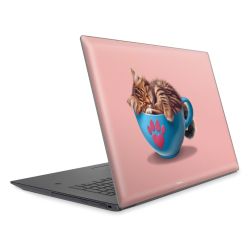 Foils for Laptops matt
