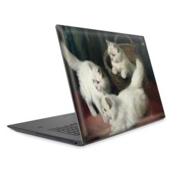 Foils for Laptops matt
