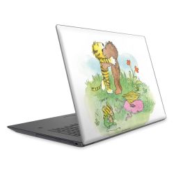 Foils for Laptops matt