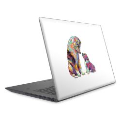 Foils for Laptops matt