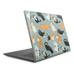 Foils for Laptops matt
