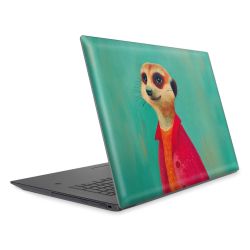 Foils for Laptops matt