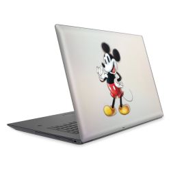 Foils for Laptops matt