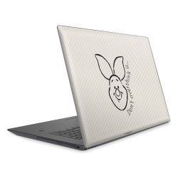 Foils for Laptops matt